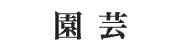 kirisumi_4_9